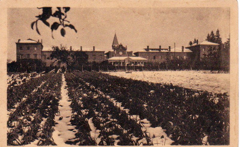 Original image